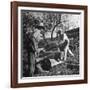 Two Men Using a Crosscut Saw on a Log-null-Framed Photographic Print
