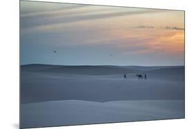 Two Men Walk a Donkey over Dunes at Sunset in Brazil's Lencois Maranhenses National Park-Alex Saberi-Mounted Photographic Print