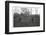 Two Men with Four Dogs, North London Suburbs-null-Framed Photographic Print