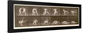 Two Men Wrestling, Plate 347 from 'Animal Locomotion', 1887 (B/W Photo)-Eadweard Muybridge-Framed Premium Giclee Print