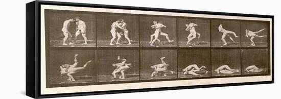 Two Men Wrestling, Plate 347 from 'Animal Locomotion', 1887 (B/W Photo)-Eadweard Muybridge-Framed Stretched Canvas