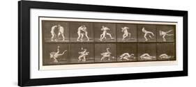 Two Men Wrestling, Plate 347 from 'Animal Locomotion', 1887 (B/W Photo)-Eadweard Muybridge-Framed Giclee Print