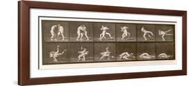 Two Men Wrestling, Plate 347 from 'Animal Locomotion', 1887 (B/W Photo)-Eadweard Muybridge-Framed Giclee Print