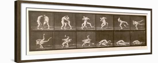 Two Men Wrestling, Plate 347 from 'Animal Locomotion', 1887 (B/W Photo)-Eadweard Muybridge-Framed Premium Giclee Print