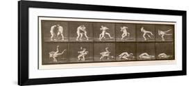 Two Men Wrestling, Plate 347 from 'Animal Locomotion', 1887 (B/W Photo)-Eadweard Muybridge-Framed Premium Giclee Print