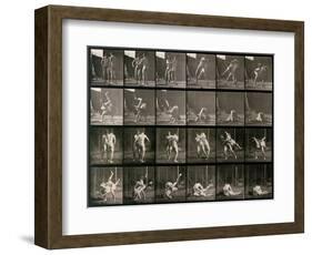 Two Men Wrestling, Plate 348 from Animal Locomotion, 1887-Eadweard Muybridge-Framed Photographic Print