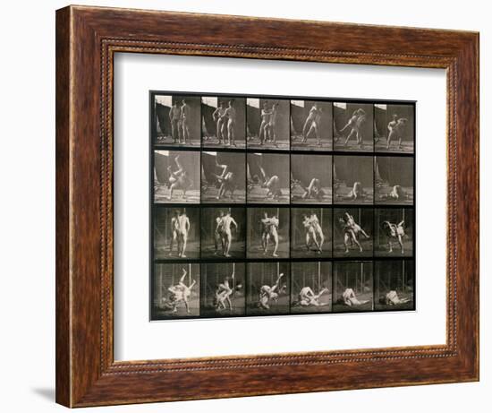 Two Men Wrestling, Plate 348 from Animal Locomotion, 1887-Eadweard Muybridge-Framed Photographic Print