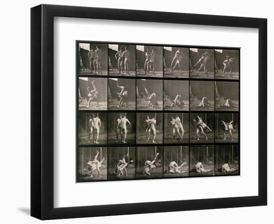 Two Men Wrestling, Plate 348 from Animal Locomotion, 1887-Eadweard Muybridge-Framed Photographic Print