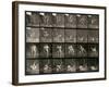 Two Men Wrestling, Plate 348 from Animal Locomotion, 1887-Eadweard Muybridge-Framed Photographic Print