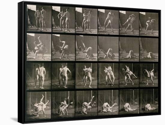 Two Men Wrestling, Plate 348 from Animal Locomotion, 1887-Eadweard Muybridge-Framed Stretched Canvas