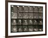 Two Men Wrestling, Plate 348 from Animal Locomotion, 1887-Eadweard Muybridge-Framed Photographic Print