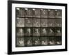 Two Men Wrestling, Plate 348 from Animal Locomotion, 1887-Eadweard Muybridge-Framed Photographic Print