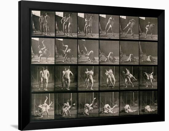 Two Men Wrestling, Plate 348 from Animal Locomotion, 1887-Eadweard Muybridge-Framed Photographic Print