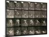 Two Men Wrestling, Plate 348 from Animal Locomotion, 1887-Eadweard Muybridge-Mounted Premium Photographic Print