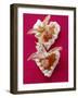 Two Meringue Hearts with Physalis and Icing Sugar-Foodcollection-Framed Photographic Print
