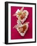 Two Meringue Hearts with Physalis and Icing Sugar-Foodcollection-Framed Photographic Print