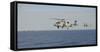 Two Mh-60 Sea Hawk Helicopters During an Air Demonstration-null-Framed Stretched Canvas
