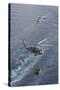 Two Mh-60S Sea Hawk Helicopters Transport Supplies-null-Stretched Canvas