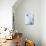 Two Milk Bottles, One Opened-Klaus Arras-Mounted Photographic Print displayed on a wall