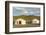 Two Mongolian nomadic gers and mountains in the background, Bayandalai district, South Gobi provinc-Francesco Vaninetti-Framed Photographic Print