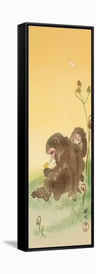 Two Monkeys and Butterflies-Koson Ohara-Framed Stretched Canvas