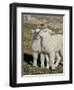 Two Mountain Goat Kids Playing, Mt Evans, Arapaho-Roosevelt Nat'l Forest, Colorado, USA-James Hager-Framed Photographic Print