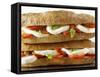 Two Mozzarella and Tomato Baguettes-Paul Williams-Framed Stretched Canvas