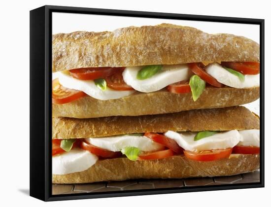 Two Mozzarella and Tomato Baguettes-Paul Williams-Framed Stretched Canvas