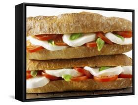 Two Mozzarella and Tomato Baguettes-Paul Williams-Framed Stretched Canvas