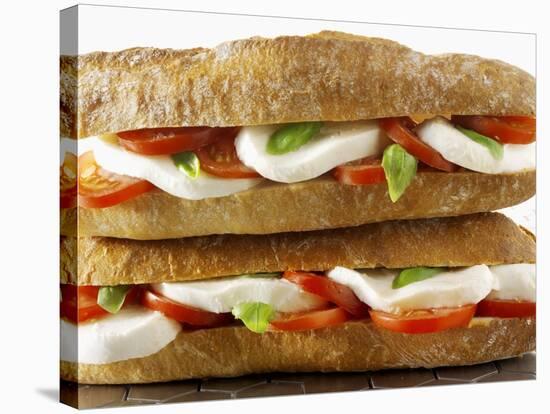 Two Mozzarella and Tomato Baguettes-Paul Williams-Stretched Canvas