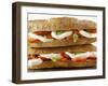 Two Mozzarella and Tomato Baguettes-Paul Williams-Framed Photographic Print