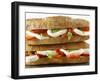 Two Mozzarella and Tomato Baguettes-Paul Williams-Framed Photographic Print