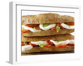 Two Mozzarella and Tomato Baguettes-Paul Williams-Framed Photographic Print