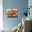 Two Mozzarella and Tomato Baguettes-Paul Williams-Photographic Print displayed on a wall