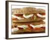 Two Mozzarella and Tomato Baguettes-Paul Williams-Framed Photographic Print