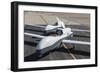 Two Mq-4C Triton Unmanned Aerial Vehicles on the Tarmac-null-Framed Photographic Print