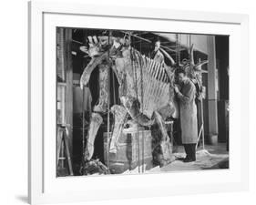 Two Museum Paleontologists Assembling Complete Styracosaurus, American Museum of Natural History-Margaret Bourke-White-Framed Photographic Print