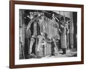 Two Museum Paleontologists Assembling Complete Styracosaurus, American Museum of Natural History-Margaret Bourke-White-Framed Photographic Print