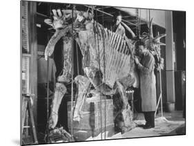 Two Museum Paleontologists Assembling Complete Styracosaurus, American Museum of Natural History-Margaret Bourke-White-Mounted Photographic Print