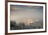 Two Mute Swans, Cygnus Olor, Glide Through A Lake In Richmond Park At Sunrise-Alex Saberi-Framed Photographic Print