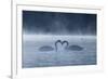 Two Mute Swans in Love, Cygnus Olor, Swim in a Pond in Richmond Park at Sunrise-Alex Saberi-Framed Photographic Print