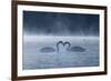 Two Mute Swans in Love, Cygnus Olor, Swim in a Pond in Richmond Park at Sunrise-Alex Saberi-Framed Photographic Print