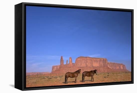 Two Navajo Horses, Monument Valley Navajo Tribal Park, Utah, United States of America-Peter Barritt-Framed Stretched Canvas