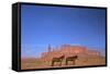 Two Navajo Horses, Monument Valley Navajo Tribal Park, Utah, United States of America-Peter Barritt-Framed Stretched Canvas