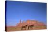 Two Navajo Horses, Monument Valley Navajo Tribal Park, Utah, United States of America-Peter Barritt-Stretched Canvas