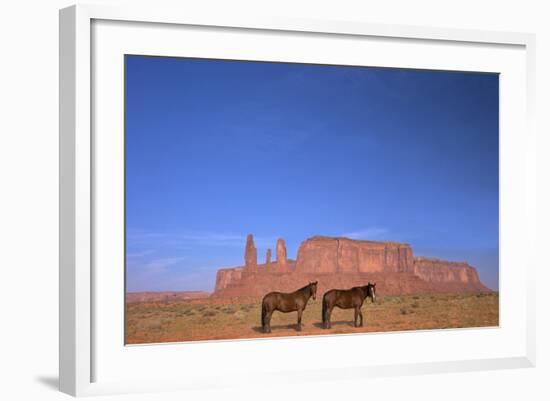 Two Navajo Horses, Monument Valley Navajo Tribal Park, Utah, United States of America-Peter Barritt-Framed Photographic Print