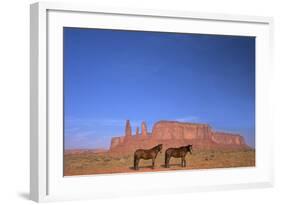 Two Navajo Horses, Monument Valley Navajo Tribal Park, Utah, United States of America-Peter Barritt-Framed Photographic Print