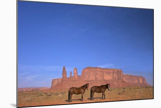 Two Navajo Horses, Monument Valley Navajo Tribal Park, Utah, United States of America-Peter Barritt-Mounted Photographic Print