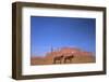 Two Navajo Horses, Monument Valley Navajo Tribal Park, Utah, United States of America-Peter Barritt-Framed Photographic Print