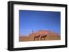 Two Navajo Horses, Monument Valley Navajo Tribal Park, Utah, United States of America-Peter Barritt-Framed Photographic Print